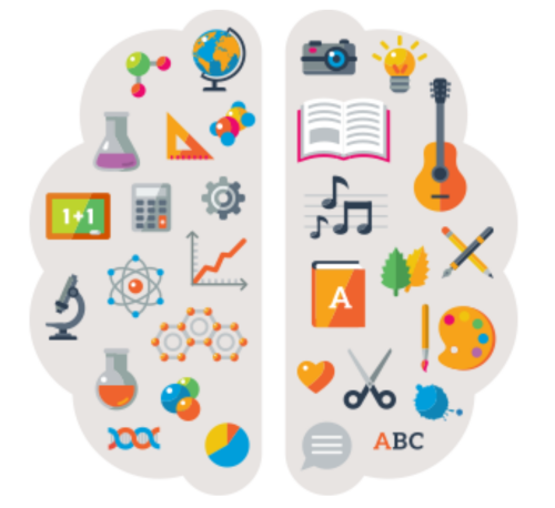 graphic showing the STEAM concepts in the shape of a brain